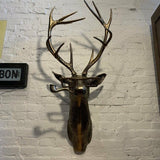 Grappige Dierenkop Wanddecoratie - WallCritters