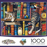 Kat op Boekenplank Puzzel – Voor Puzzelaars en Kattenliefhebbers