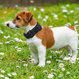 Verstelbare Nylon Hondenhalsband – Comfort en Controle voor Grote Honden