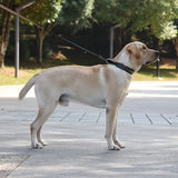 Verstelbare Spiked Hondenhalsband - Sterk en Veilig voor Grote Honden