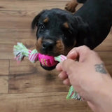 Interactief Honden Kauwspeelgoed – Met Kleurige Knopen en Rubbere Bal