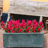 Set van 6 Bundels Kunst Tulpen – UV-bestendig en Realistisch voor Tuin- en Interieurdecoratie