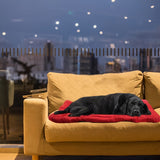 Opvouwbare Waterdichte Hondenmat – Comfortabele Reismat voor Buiten en Camping