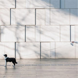 LED Automatische Hondenlijn – Ergonomische Handgreep & Veiligheidslicht