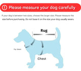 Waterdichte Hondenjas - RainRover