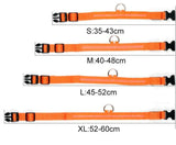 GlowPets | LED Halsband