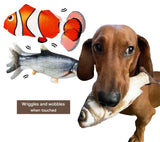 Interactief Speelgoed voor Honden - FlippyFish