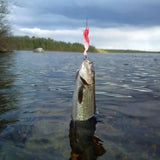 HookQuest Advent Kalender 2025 – 24 Hoogwaardige Visspullen voor Zoet- en Zoutwater