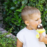 Ice Saver - Voor een Schone Ijsjeservaring