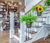 Hangende Railing Plantenhouder – Balconia