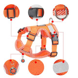 Reflecterend Harnas- en Lijnset voor Kleine Honden - AirFlex