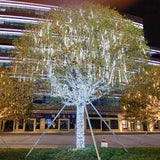 Starfall | Ervaar de magie van vallende sterren!