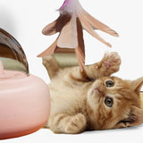 Slimme Laser Katten Speelgoed met Regenbooglicht – Nola