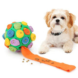 WhiffWiz | Maak van de speeltijd van je hond een snuffelavontuur!