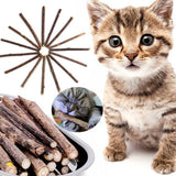 Catnip Sticks | Kauwbare lekkernijen voor gelukkige katten!