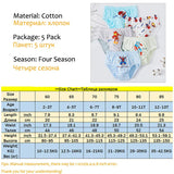 Spider-Man Ondergoedset voor Jongens – 5 Stuks in Leuke Superhelden Designs