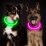 GlowSafe LED-Hondhalsband – Oplaadbaar USB-veiligheidslicht