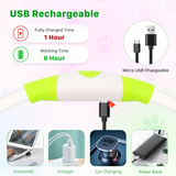 GlowSafe LED-Hondhalsband – Oplaadbaar USB-veiligheidslicht