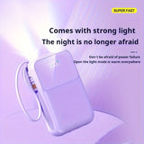 Ultieme Draagbare Powerbank 10000mAh - Snel Opladen met Ingebouwde Kabels