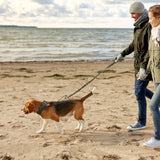 Verstelbare Nylon Hondenhalsband – Comfort en Controle voor Grote Honden