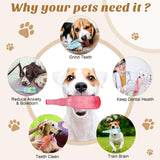 KauwFles voor Honden – Voor plezierige kauwmomenten