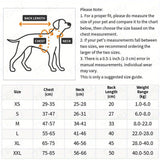 Reflecterende Shark Hondenzwempak – Veiligheidsvest voor Huisdieren met Handgreep en Verstelbare Riemen