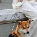 Ring Leash | Probleemloze wandelingen met de intrekbare riem met lampje en poepzakjesdispenser!