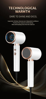 Professionele Föhn 2400W met koude en warme lucht - negatieve ionen - krachtige haardroger voor salonresultaten