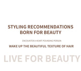 Professionele Föhn 2400W met koude en warme lucht - negatieve ionen - krachtige haardroger voor salonresultaten