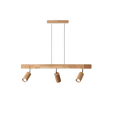 Verstelbare Plafondspot van Hout – EcoLux