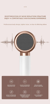 Professionele Föhn 2400W met koude en warme lucht - negatieve ionen - krachtige haardroger voor salonresultaten