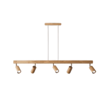 Verstelbare Plafondspot van Hout – EcoLux