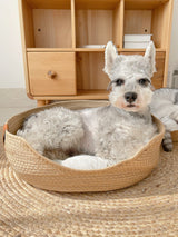 Handgemaakt, comfortabel kattenbed – LuxeSnooze