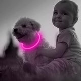 GlowSafe LED-Hondhalsband – Oplaadbaar USB-veiligheidslicht