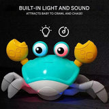 Interactief Krabbelspelletje met Beweging & Muziek - KrabbelKrabbe