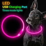 GlowSafe LED-Hondhalsband – Oplaadbaar USB-veiligheidslicht