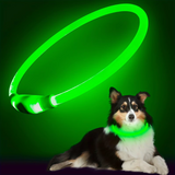 GlowSafe LED-Hondhalsband – Oplaadbaar USB-veiligheidslicht