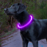 GlowSafe LED-Hondhalsband – Oplaadbaar USB-veiligheidslicht
