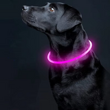 GlowSafe LED-Hondhalsband – Oplaadbaar USB-veiligheidslicht