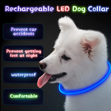 GlowSafe LED-Hondhalsband – Oplaadbaar USB-veiligheidslicht