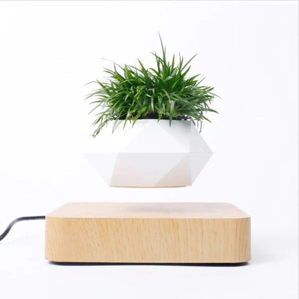 AirZen | Ervaar het wonder van zwaartekracht tartende planten!