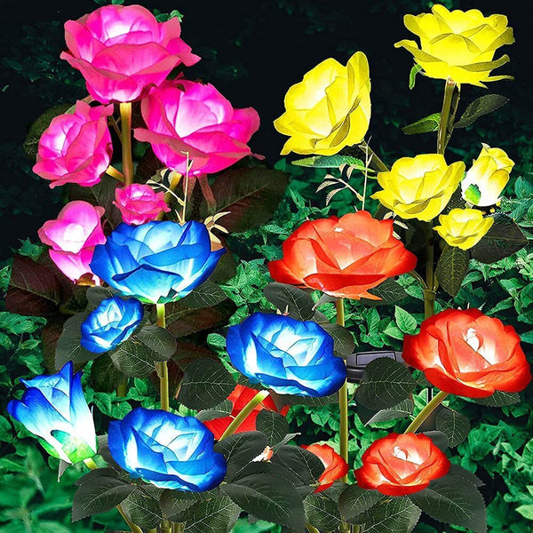 Roses | Creëer een prachtige sfeer in uw tuin!