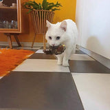 Interactief Katten Speelgoed - ChirpBird