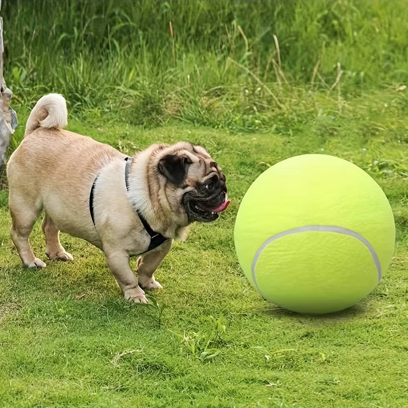 Extra Duurzame Grote Honden Tennisbal – Ideaal voor Buiten Spel en Activiteit