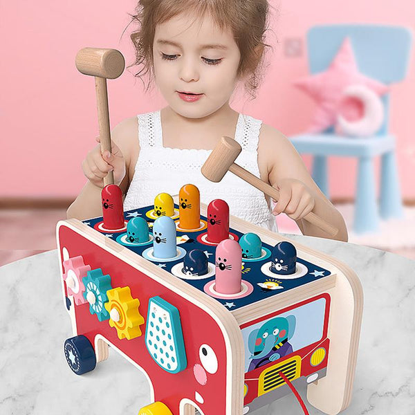 Educatief Hamer-Spel - Voor leren en plezier