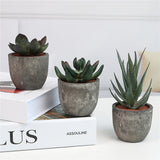 Decoratieve Mini Kunstplantenset in Betonlook – Stijlvolle Groene Touch voor Elk Interieur
