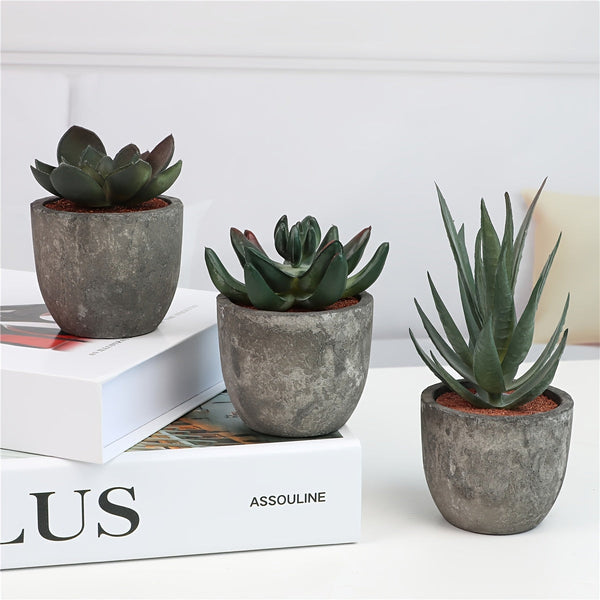 Decoratieve Mini Kunstplantenset in Betonlook – Stijlvolle Groene Touch voor Elk Interieur