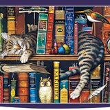 Kat op Boekenplank Puzzel – Voor Puzzelaars en Kattenliefhebbers
