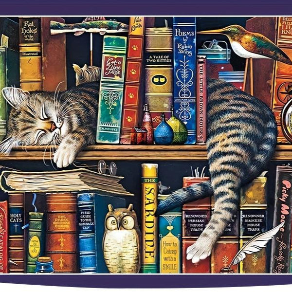 Kat op Boekenplank Puzzel – Voor Puzzelaars en Kattenliefhebbers