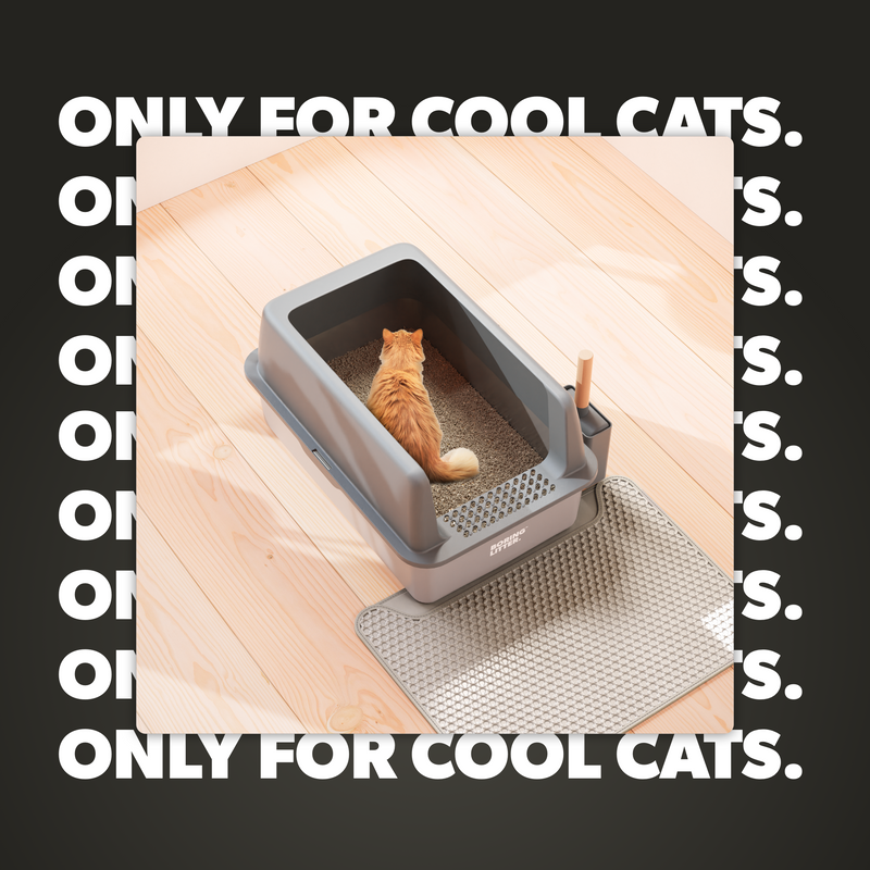 Roestvrijstalen kattenbak – SteelClean